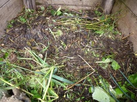 leafmould on compost heap