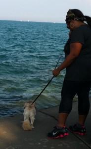 A Breezy Day at the Lake and Taking a Stand Against Violence in Chicago