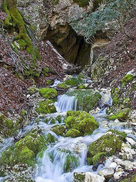 LIVING IN A GREAT NATIONAL PARK. IN DEFENSE OF NATURE