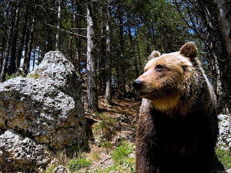 LIVING IN A GREAT NATIONAL PARK. IN DEFENSE OF NATURE