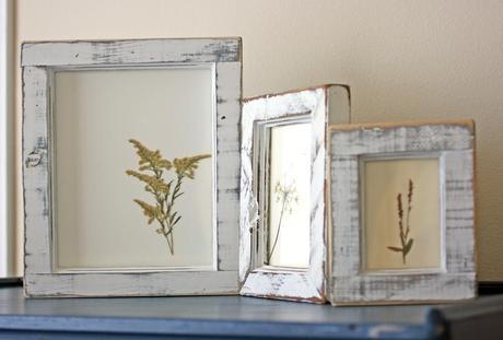 DIY framed flowers