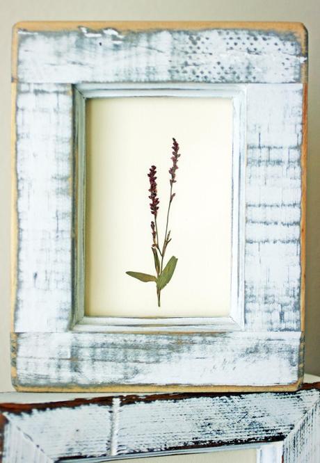 DIY framed flowers