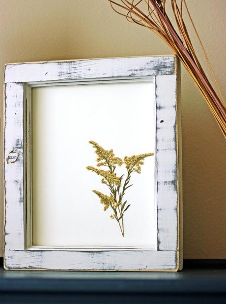 DIY framed flowers