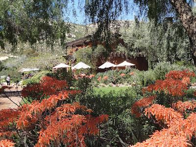 Tidbits on Nature at Rancho La Puerto by Dorothy Hinshaw Patent (Guest Post)