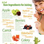 Infographic on Ingredients for Juicers