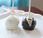 Bride Groom Cake Pops