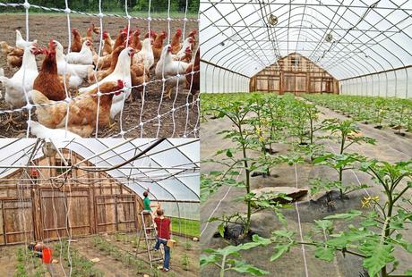 Driven: a passion for farming