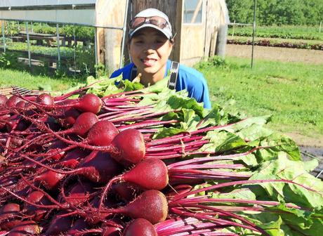 Driven: a passion for farming