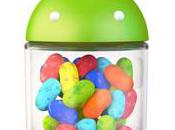 Jelly Bean Will Motorola Xoom Tablet