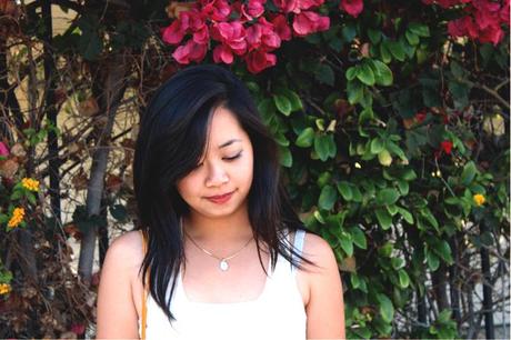 Among the Bougainvilleas