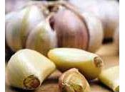 Uncovering Health Benefits Garlic