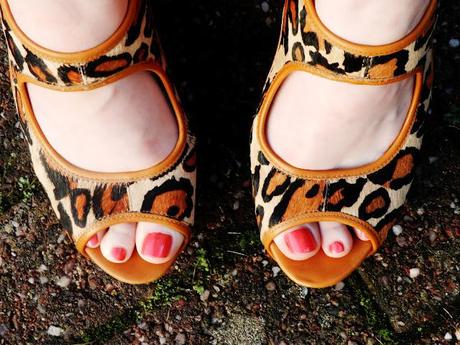 LBD + Leopard Wedges