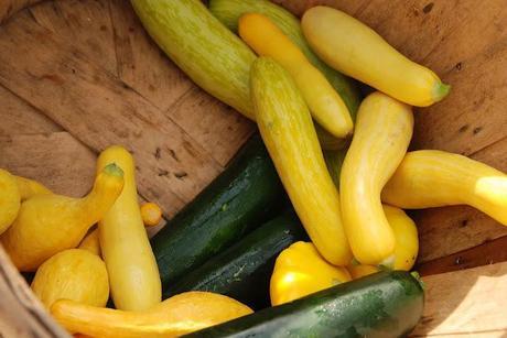 Wilder Pictures + Recipes: Farmer's Market Series, Volume VI (and) Roast Summer Squash