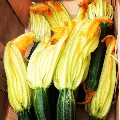 Wilder Pictures + Recipes: Farmer's Market Series, Volume VI (and) Roast Summer Squash