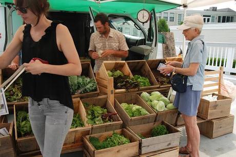 Wilder Pictures + Recipes: Farmer's Market Series, Volume VI (and) Roast Summer Squash