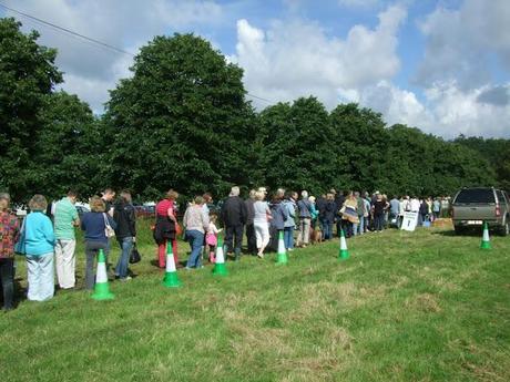 Not Another Plant Fair!!