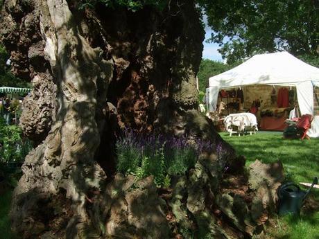 Not Another Plant Fair!!