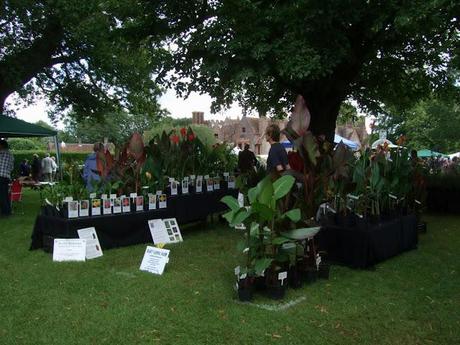 Not Another Plant Fair!!
