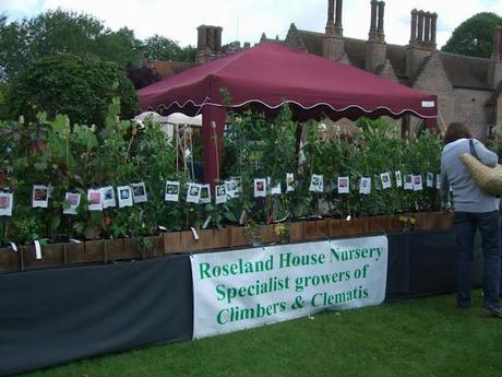 Not Another Plant Fair!!