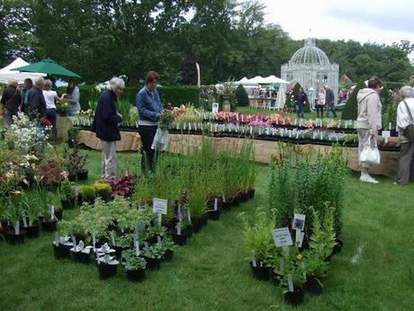 Not Another Plant Fair!!
