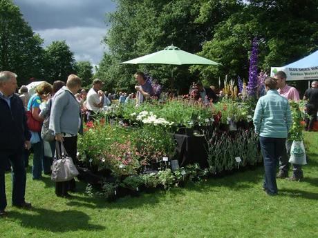 Not Another Plant Fair!!