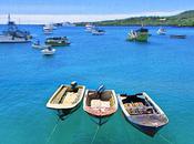Places Swim World's Clearest Water