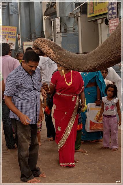 PONDICHERRY re-visited