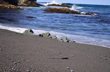 To Middle Cove Beach We Go