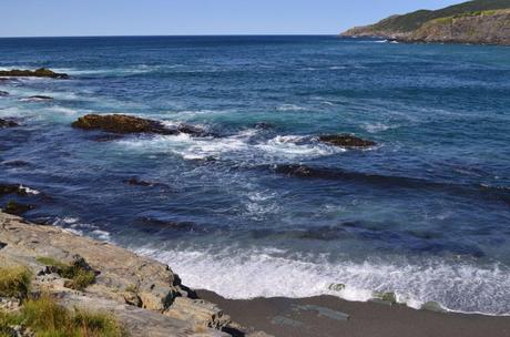 To Middle Cove Beach We Go