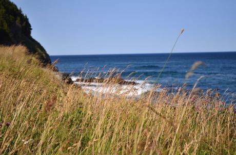 To Middle Cove Beach We Go