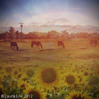 Filtermania photo of missoula