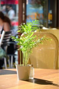 Tea Time - Craving for Food!