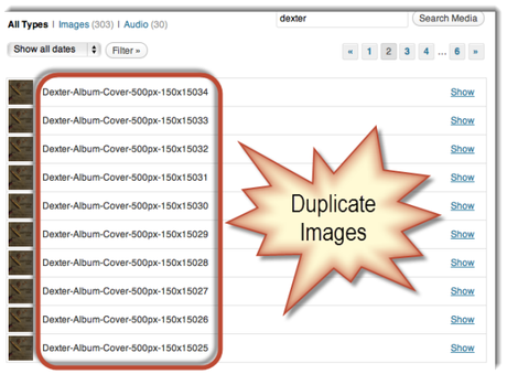 Duplicate Images in WordPress image