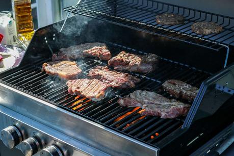 Gas Grill Guide: 6 Things You Have to Know Before Buying
