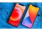iPhone Max: Really Need ‘Pro’ Model?