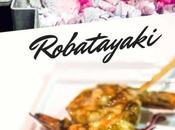 Best Robata Grill Affordable Options Line Grills