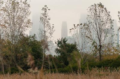 City in the distance