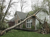 Most Common Types Home Insurance Claims