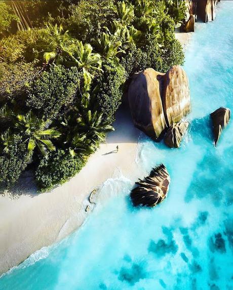 giant Aldabra tortoise goes missing !!