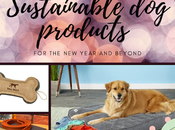Eco-friendly Toys Products Home Outdoors