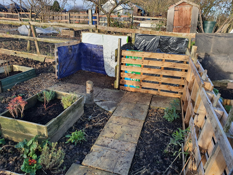 Day 36 - potting on and turning the compost