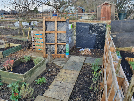 Day 36 - potting on and turning the compost