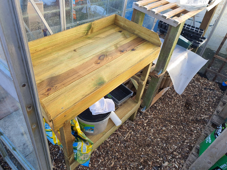 Day 36 - potting on and turning the compost