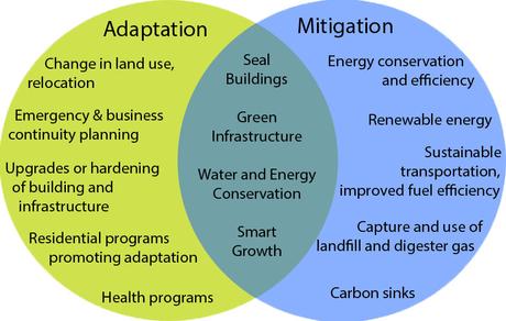 What Does Climate Resilience Look Like? | Center for Clean Air Policy