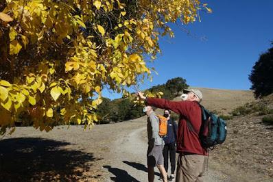 BRIONES REGIONAL PARK, LAFAYETTE, CA: Open Space Perfect for a Family Outing, by Caroline Arnold at The Intrepid Tourist