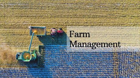 5 Reasons Why Farm Management System is Essential for Business
