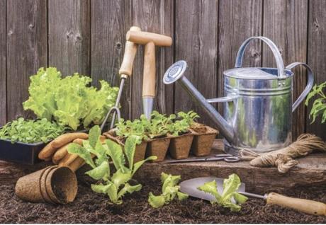 Handy Gardening Tips for Beginners