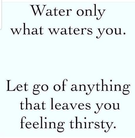 Image may contain: text that says 'Water only what waters you. Let go of anything that leaves you feeling thirsty.'