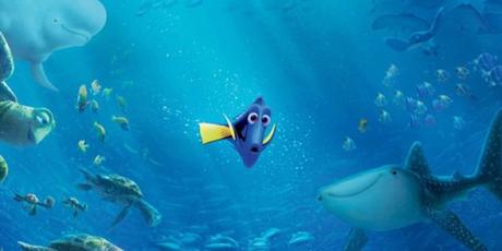 Finding Dory on 6ter: the director didn’t want a sequel to Nemo