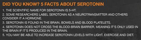 4 Benefits of Taking 5-HTP Supplements